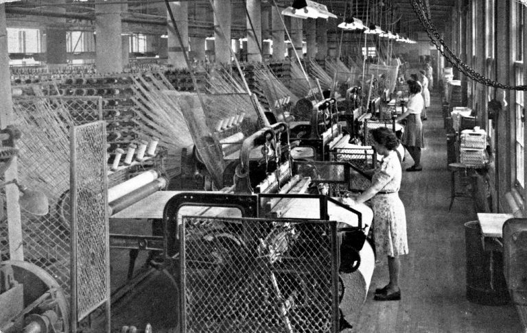 Neexistující exotičtí brouci málem způsobily kolaps výroby v textilní továrně.