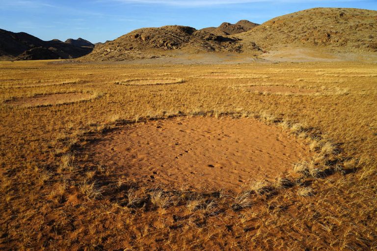 Namibská poušť je plná takzvaných „vílích kruhů“.