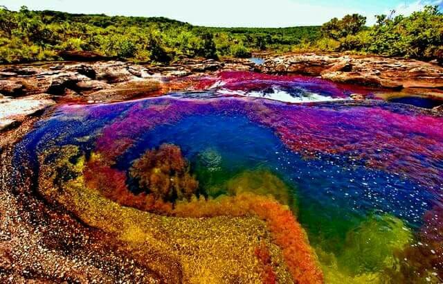 Řeka Caño Cristales v Kolumbii se pyšní pěti zářivými odstíny.