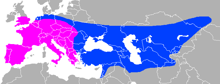 Mapa rozšíření neandertálců. V Africe se nevyskytovali.