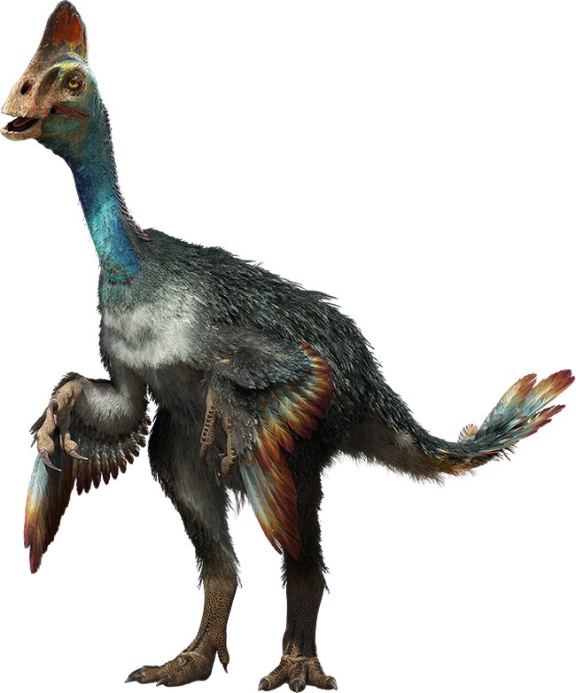 Jaké barvy nosil například Oviraptor, se je domníváme. Samci však byli možná pestřejší.