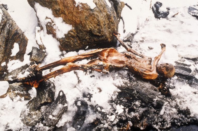 V době nálezu váží Ötziho mumie necelých 14 kilogramů a je mimořádně křehká.