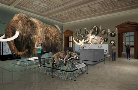 Sekci virtuální výstavy je možné otevřít přes webové stránky Národního muzea.