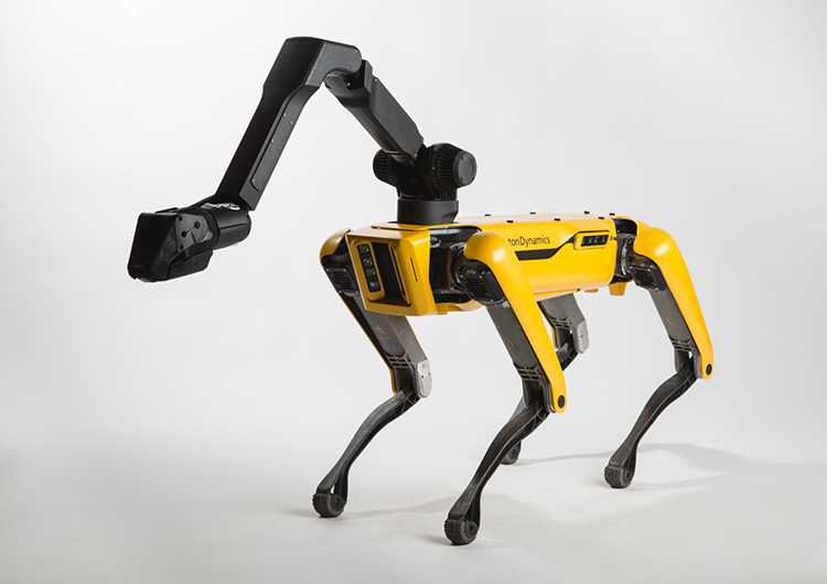 Výrobce robotů Boston Dynamics našel během pandemie COVID-19 nové uplatnění pro své robopsy.