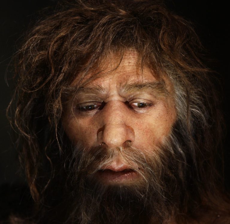 Otázka o vyhynutí neandertálců nás zaměstnává dodnes.