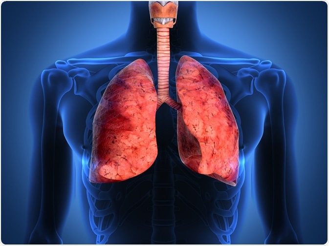 Zásadní pro pacienty je, aby měli astmatici své onemocnění pod kontrolou a dodržovali léčbu.