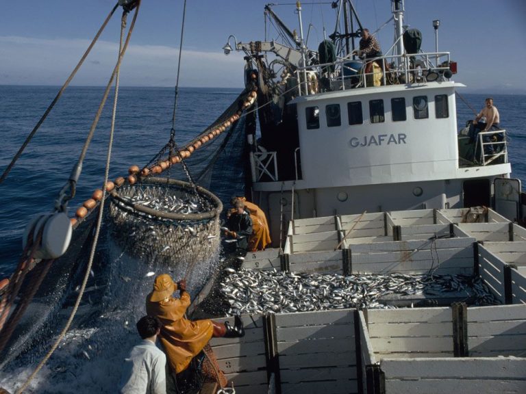 Šupinaté zlato. Rybolov je pro islandskou ekonomiku klíčovou záležitostí.