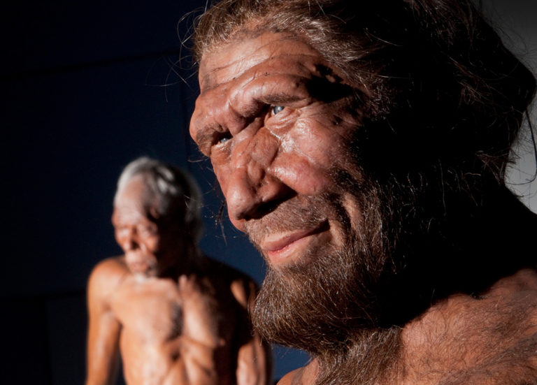 Fyzický konflikt mezi člověkem moudrým a neandertálcem by zřejmě lépe zvládl mohutnější neandertálec.