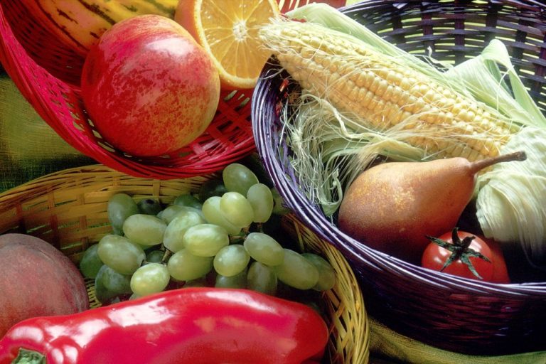 Ovoce a zelenina by měly tvořit nedílnou součást jídelníčku nejen dětí, ale i dospělých.