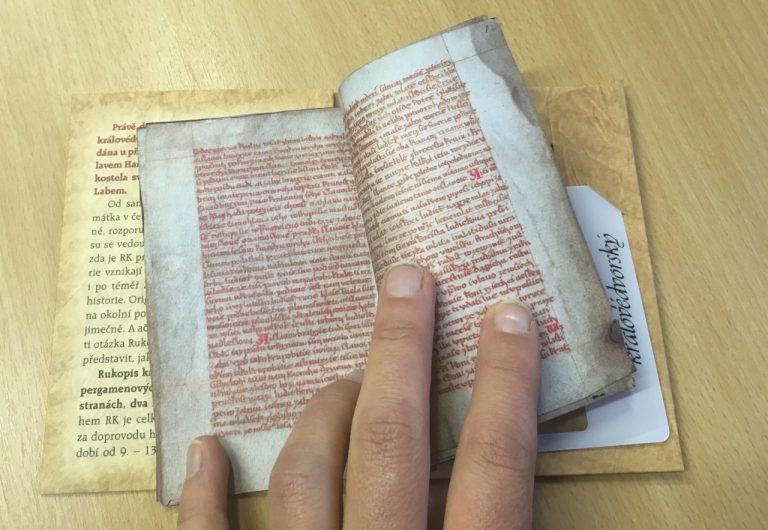 Rukopis tvoří dva pergamenové dvojlisty o rozměrech 22,4 x 16 centimetrů.