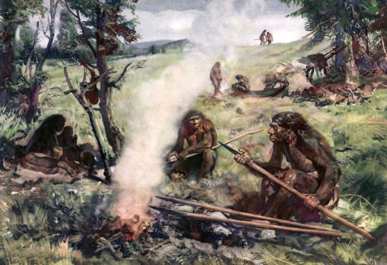 Neandertálci přežili několik chladných období, kdy došlo k ústupu lesů.