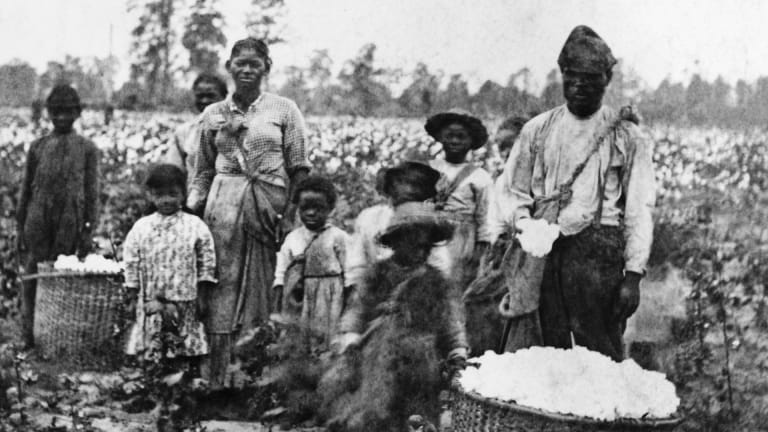 Dnes je sklizeň bavlny většinou mechanizovaná, ale dřina otroků na bavlníkových plantážích je smutnou kapitolou amerických dějin.