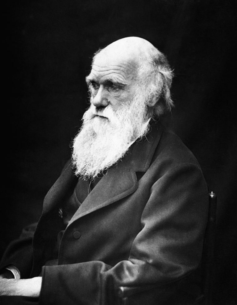 Darwin patří mezi nejvýznamnější vědce 19. století.