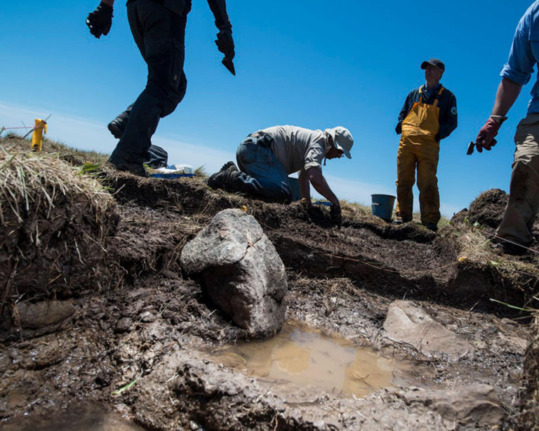 Archeologové našli v Grónsku kostry.