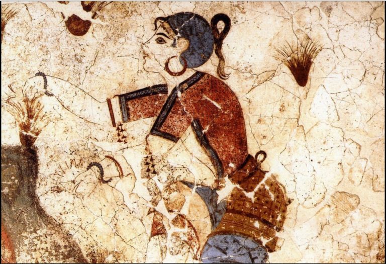 Květy šafránu zdobí i fresky z ostrova Santorini, staré 3500 let.