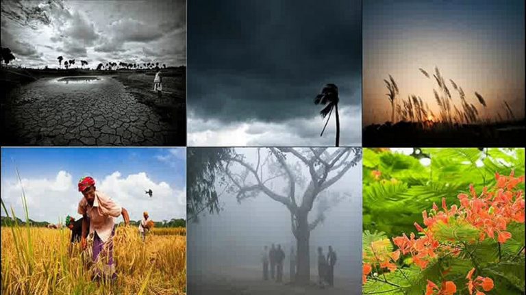 V Indii se střídají 3 období s různým počasím. Indové však ročních dob rozlišují 6.