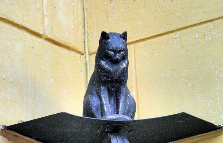 Obyvatelé města vystavěli kočkám několik památníků.