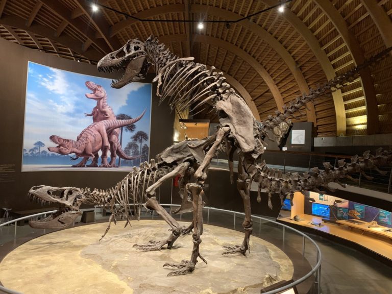 Dinosauři podle některých teorií vyhynuli za extrémně krátkou dobu.