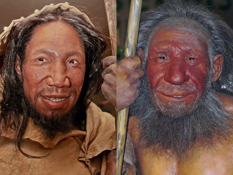 Homo sapiens se s neandertálci potkával.