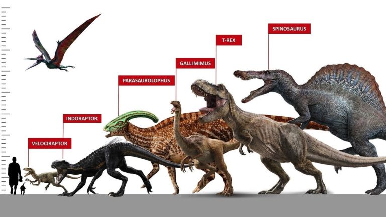 Díky moderním technologiím si můžeme dobře představit podobu dinosaurů i jejich velikost.