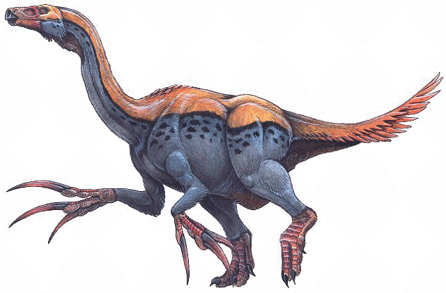 Kvůli svému vzhledu byl označován jako lenochodí dinosaurus. V překladu jeho rodové jméno znamená ještěr s kosou.