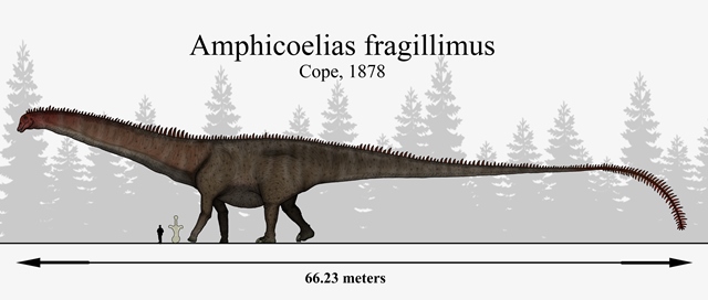 Dinosaurus dosahoval až 60metrové délky.