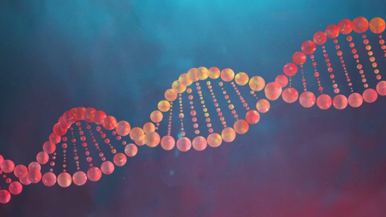 Deoxyribonukleová kyselina, běžně označovaná DNA, je nukleová kyselina, nositelka genetické informace všech organismů s výjimkou některých nebuněčných, u nichž hraje tuto úlohu RNA. DNA je tedy pro život velmi důležitou látkou, která ve své struktuře kóduje a buňkám zadává jejich program a tím předurčuje vývoj a vlastnosti celého organismu.