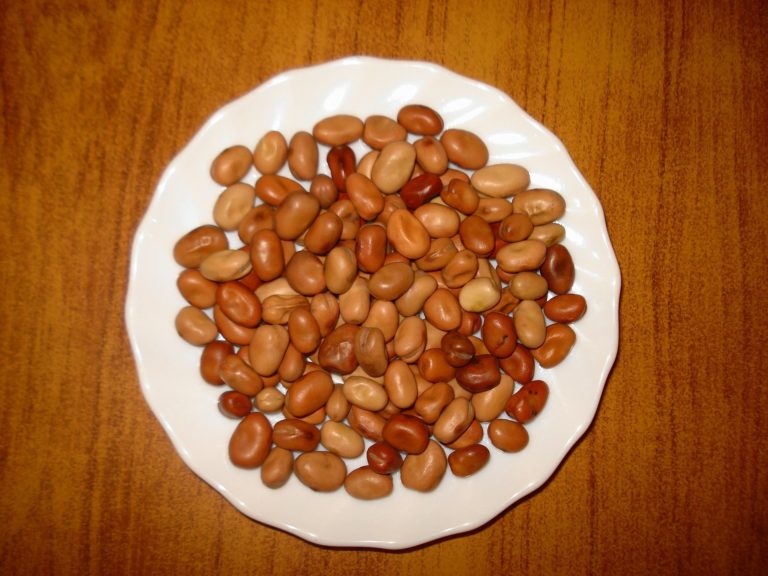 Mísa fava fazolí dodá energii egyptským námořníkům.