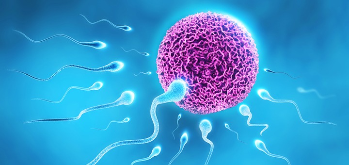 Podle lékařů však není třeba číselné hodnoty vnímat fatálně, hodnoty spermiogramu se mohou měnit a kolísat. V případě abnormálního nálezu je nutné vyšetření opakovat po jednom až třech měsících.