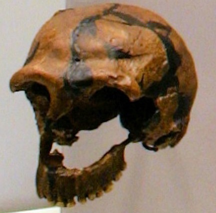 V izraelské jeskyni Tabun se v dávných dobách zdržovali i neandertálci. Svědčí o tom jejich nalezené pozůstatky.