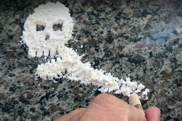Předně je třeba zmínit, že studium vlivu kokainu na lidské zdraví je skutečně důležité. Ačkoli oficiální statistiky nejsou k dispozici, odborníci odhadují, že je v současnosti na kokainu závislých celosvětově asi 23 milionů lidí.
