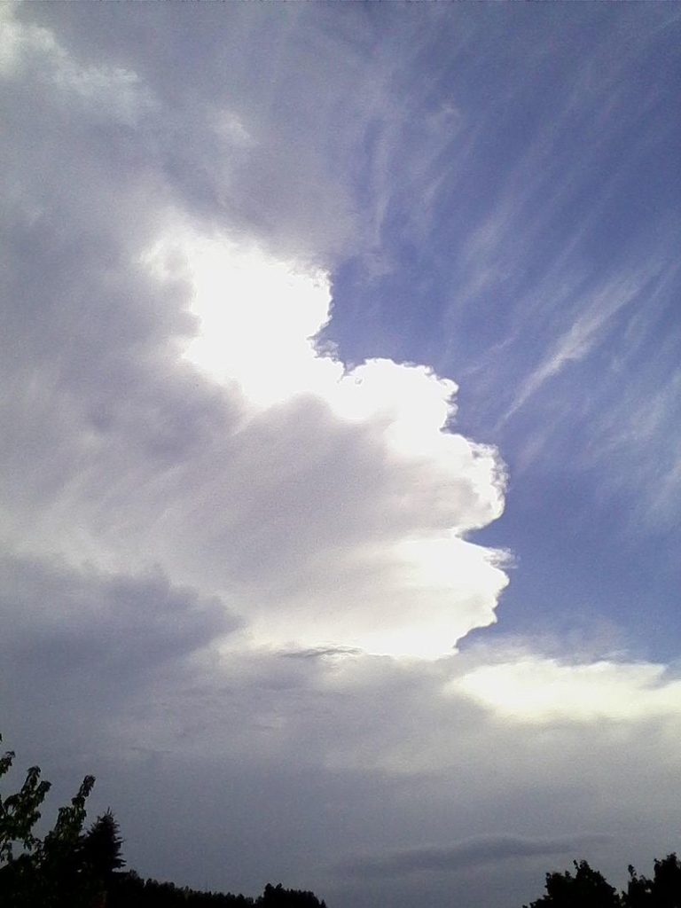 Bouřka vzniká z mraku cumulonimbus.