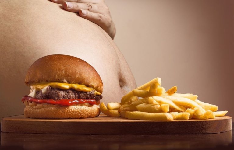 Obezita je stav, ve kterém přirozená energetická rezerva savce, která je uložena v tukové tkáni, stoupla nad obvyklou úroveň a poškozuje zdraví. Foto: Joenomias / pixabay.com