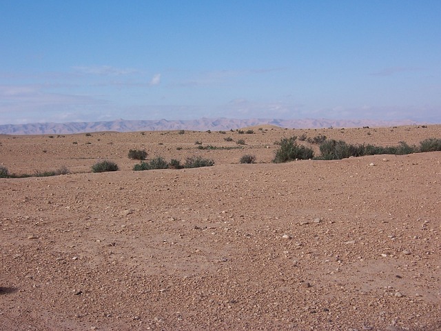 I když fotografie písečných dun jsou ve spojení se Saharou nejznámější, větší část této pouště vypadá třeba takto. (Foto: PublicDomainPictures, Pixabay)