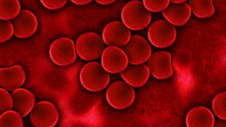 V České republice je v současnosti registrováno přibližně 1 066 hemofiliků, 930 osob s hemofilií A a 136 osob s hemofilií B. Foto: geralt / pixabay