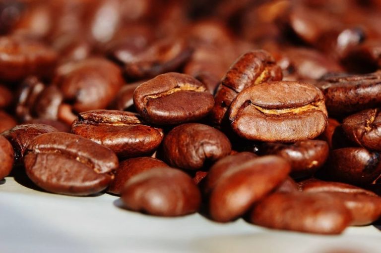 Kávová sedlina rostlinám prospěje lépe až po tom, co se v zahradním kompostu nebo v domácím vermikompostéru přemění ve výživný kompost. Foto: Alexas_Fotos / pixabay