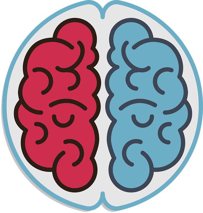 Kdyby spolu dvě části hemisfér nespolupracovaly, mozek by tak spotřeboval mnohem více energie (kterou by jinak spotřebovalo tělo), výsledkem je únava, snížená pozornost či nechuť k další činnosti. Foto: ArtsyBeeKids / pixabay