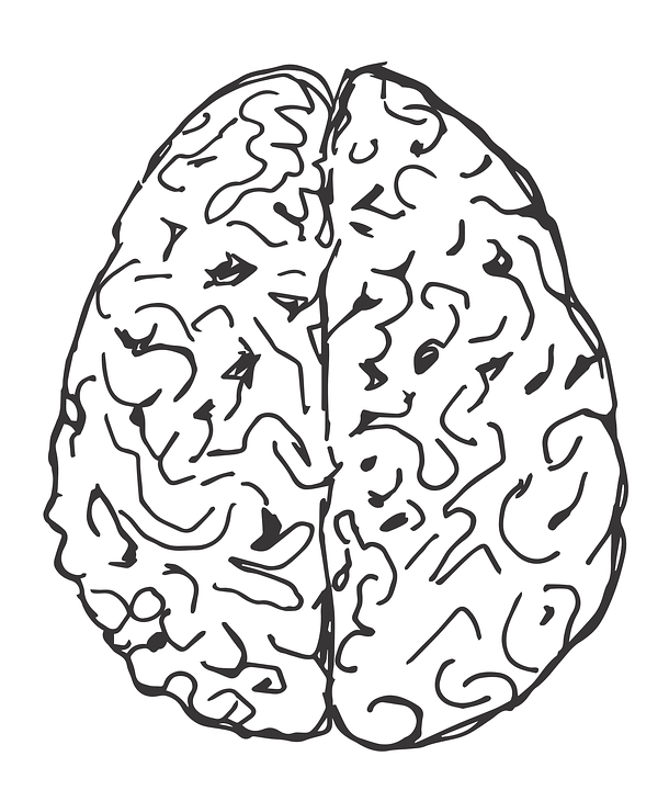 Podle poznatků je dyslexie pravděpodobně způsobena nesprávnou vzájemnou komunikací pravé a levé hemisféry, mezi přední a zadní částí mozku. Foto: martabystron / pixabay