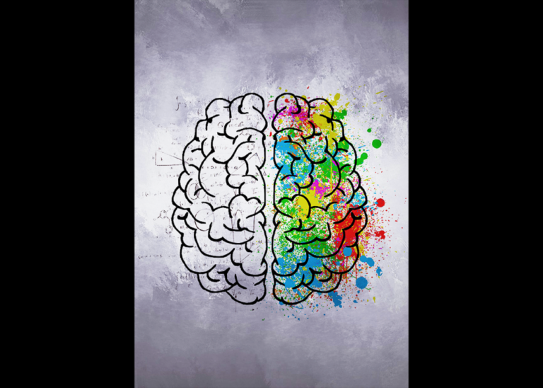 Platí, že levá hemisféra je propojena s pravou částí těla – ovládá ho, naopak pravá hemisféra má na starosti část levou. Foto: Latulippe2000 / pixabay