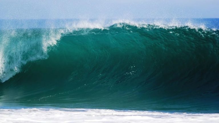 Mořská voda má v současnosti mírně zásaditý charakter (přibližně pH 8) a okyselení oceánů znamená posun směrem k neutrálním hodnotám pH (pH 7). Odhady uvádějí, že 30–40 % oxidu uhličitého vytvořeného lidskou aktivitou, Foto: Free-Photos / pixabay