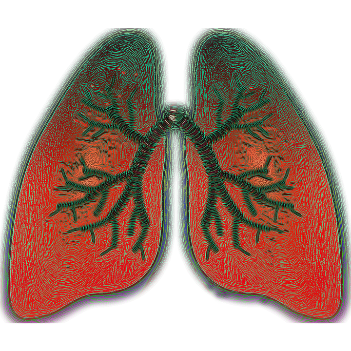 Pneumokoková nákaza se šíří kapénkovou cestou – postižený vykašlává a bakterie se šíří vzduchem. Foto: VSRao / pixabay