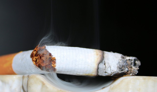 Kouření jako zdroj vážných zdravotních problémů označí lékaři už v polovině 20. století. (Foto: Myriams-Fotos, Pixabay)