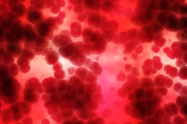 Za zcela normálních okolností ucpávají trhliny ve stěnách cév a společně se zvláštními bílkovinami krevní plazmy se podílejí na správné funkci srážení krve. Foto: geralt / pixabay