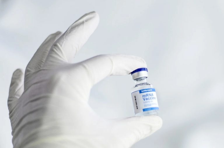 Ridgeback Therapeutic je biofarmaceutickou společností, která se zaměřuje na nová infekční onemocnění. Je výrobcem například léku proti ebole. Foto: spencerbdavis1 / pixabay