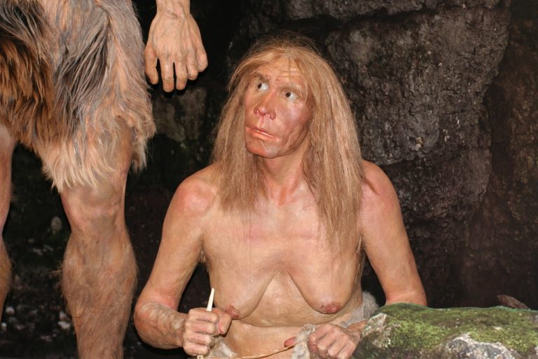 Neandertálec je předvěká forma člověka řazená buď do druhu Homo neanderthalensis, nebo poddruhu Homo sapiens neanderthalensis. Foto: Rollstein / pixabay