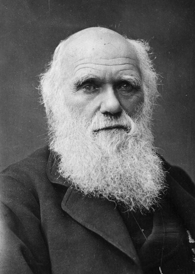 Charles Darwin svojí evolucí způsobí revoluci. FOTO: Neznámý autor/Creative Commons/Public domain