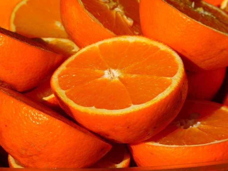 Dužina pomeranče je těžko stravitelná. Když vám ucpe střeva, opravdu jde o život! Foto: LoggaWiggler / Pixabay