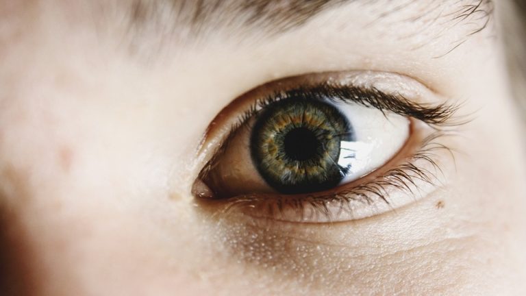 Tržná poranění víček – oční víčka mají nejtenčí kůži z celého těla. Jednoduché povrchové tržné ranky může oční lékař ošetřit v lokálním znecitlivění. Hluboké rány a poranění slzných cest může být nutné operovat v celkové anestezii. Foto: Free-Photos / pixabay