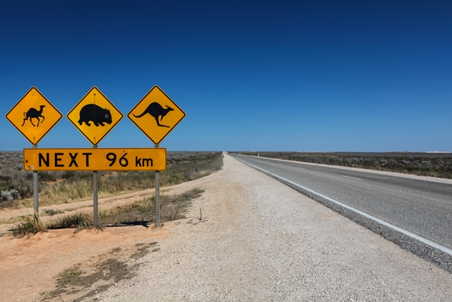 Australská silnici je nebezpečná svou monotónností. Foto: Shutterstock
