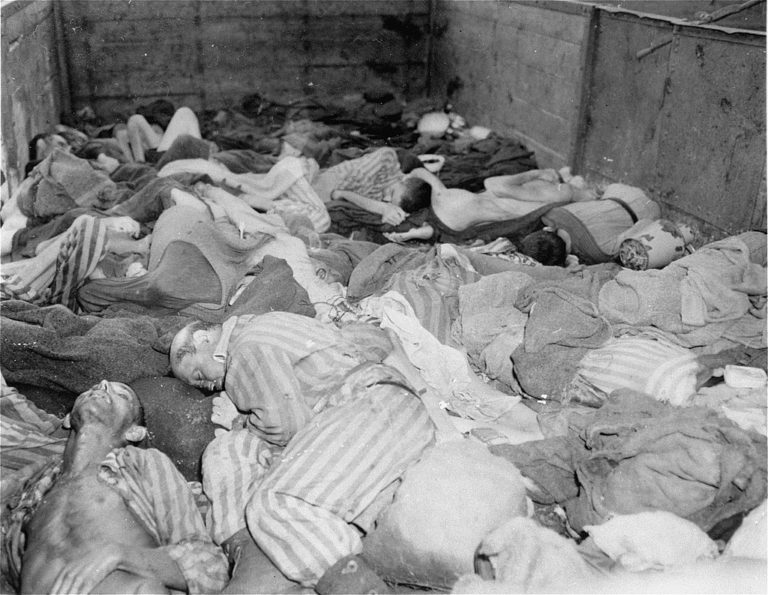 Mnozí vězni přijeli do Dachau již mrtví ve vagonech. Foto: Creative Commons, Eric Schwab - United States Holocaust Memorial Museum, Public Domain.